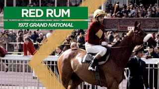 Classic Grand National No 1  Red Rum 1973 [upl. by Dibb]