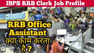 IBPS RRB Clerk Job Profile  RRB Office Assistant job profile  RRB recruitment 2021 [upl. by Kcirderfla]