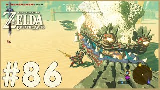 Zelda Breath Of The Wild  Molduking 86 [upl. by Elane]