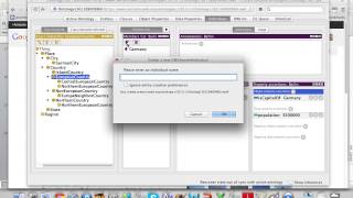 Protege How to add individuals [upl. by Ennaoj]