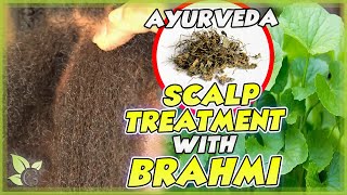 The many benefits of BRAHMI for your hair  Science and Recipe [upl. by Ike]