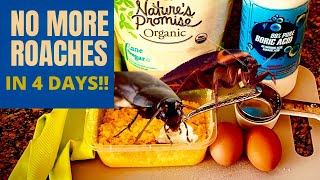 BEST WAY TO KILL ROACHES How to Get Rid of Cockroaches home Remedies  With Boric Acid [upl. by Esiocnarf]