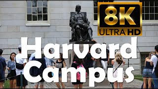 Harvard University  8K Campus Drone Tour [upl. by Inahpets137]