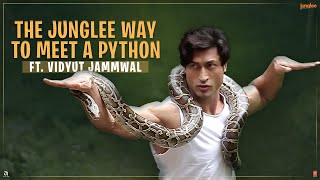 Junglee  71 Interesting Facts  Vidyut Jammwal  Chuck Russell  Atul Kulkarni [upl. by Rehsu728]