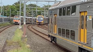 Sydney Trains and NSW TrainLink Train Types Explained  Petersham Morning Peak [upl. by Jennings376]