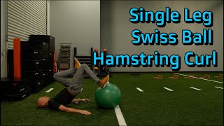 Swiss Ball Single Leg Hamstring Curl [upl. by Brechtel]