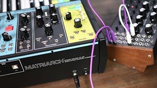 Moog Matriarch  Moog DFAM  Demo [upl. by O'Connor]