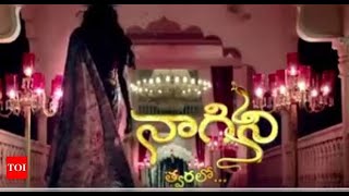 Naagini serial title song in telugu [upl. by Orlando]