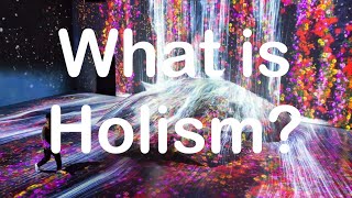 Philosophy What is Holism [upl. by Ahtnama738]