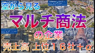 【ネズミ講にご注意！】知らなきゃヤバい！空から見るマルチ商法の企業 最強18社 連鎖販売取引ネットワークビジネスMLM 売上ランキング上位１６社＋α [upl. by Ijies]