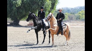 A Classical and Western Dressage Demonstration [upl. by Joashus281]