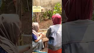 tutorial memanen madu trigona itama trigona automobile shorts masukberanda [upl. by Dygall]