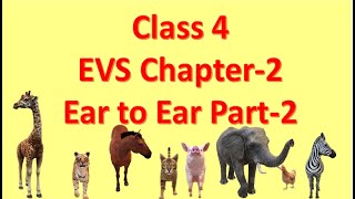 Ear to Ear Part 2 Class 4 EVS Chapter2  NCERT CBSE  Animals  Skin [upl. by Ecinert]