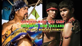 Authentic Muay Thai Training Camp in Thailand Sitjaopho Gym  The Beautiful Mind of a Champion [upl. by Nozicka177]