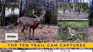 My 10 Most Memorable Trail Cam Videos 1 is RARE [upl. by Adnohsat984]