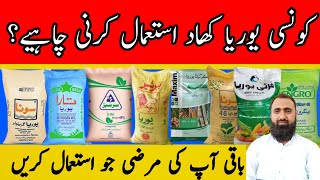 Which is the best urea fertilizer  Simple vs Coated Urea  Bilal Kanju Official [upl. by Wahs]