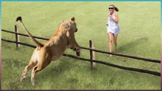 Animals Reunited With Owner After Years [upl. by Koy681]