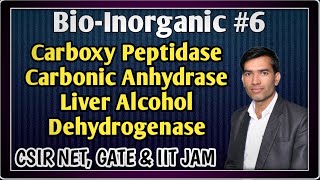 Carboxy Peptidase  Carbonic Anhydrase  Lever Alcohol Dehydrogenase  Bioinorganic Chemistry [upl. by Codie]