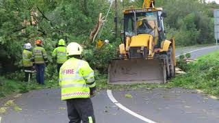 190918 Anglo Celt Video Tree Fallen on Belturbet to Ballyconnell Road by Sean McMahon MVI 6858 [upl. by Noell112]