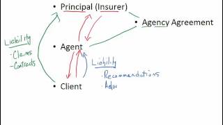 Insurance Agency System [upl. by Ugo647]