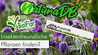 So findet Ihr die besten Pflanzen für den Naturgarten [upl. by Marline362]