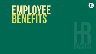 HR Basics Employee Benefits 2e [upl. by Padraig346]