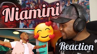 Hamadai feat Alikiba  Niamini Official VideoREACTION [upl. by Ahtekahs]