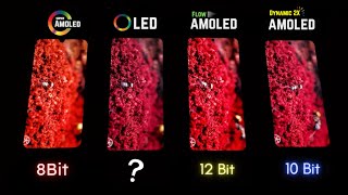 Super AMOLED vs OLED vs Flow OLED vs Dynamic AMOLED 2X  Display Test [upl. by Atnoek]