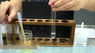 Ethanol emulsion test for fats [upl. by Kendre824]