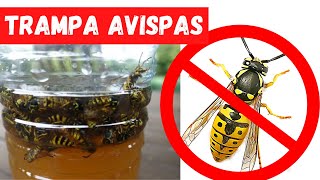 ✅ COMO HACER UNA TRAMPA PARA AVISPAS CASERA Y ECOLÓGICA 100 EFECTIVA [upl. by Yesnyl]