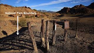 Hidden Petroglyphs of Big Bend National Park [upl. by Haggi]