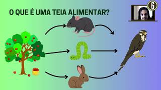 Aula 22  Cadeias e Teias Alimentares [upl. by Larrisa]