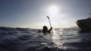 Impressions of a KOSMOS mesocosm study on artificial upwelling Ocean artUp off Gran Canaria [upl. by Niklaus12]