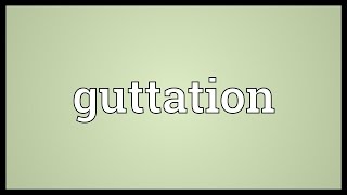 Guttation Meaning [upl. by Oivat341]