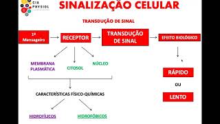 Sinalização intracelular [upl. by Rape]