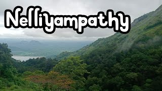 Nelliyampathy trip  Tamil evergreen melodious songs  Tamil cover songs unpluggedsongs [upl. by Haizek534]