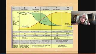 demographic transition model for cultural geography class with Mrs T [upl. by Lem]