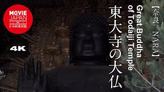 奈良 世界遺産 東大寺の大仏 4K Great Buddha of Todaiji Temple [upl. by Hsotnas]