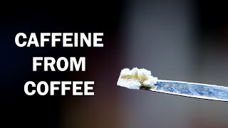 Extracting caffeine from coffee [upl. by Nelsen]