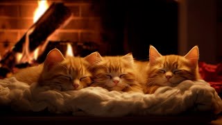 Fall asleep to Family Cats Purr amp Warm Fireplace 🔥 Relax in Cozy Winter Hut Deep Sleep [upl. by Sims]