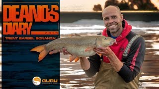 DEANOS DIARY Bagging River Trent Barbel [upl. by Shaver]