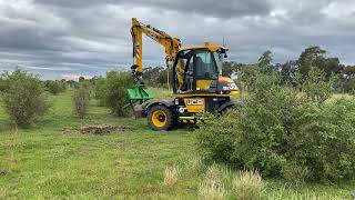 African Boxthorn Removal [upl. by Fernandes894]