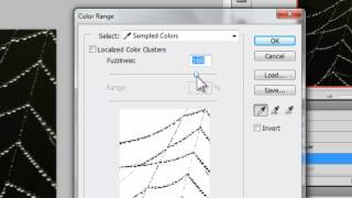 Adobe Photoshop  How to Remove Backgrounds with the Color Range Tool [upl. by Laved]