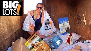 Dumpster Diving ABSOLUTELY INSANE HAUL  We Filled The Truck Up [upl. by Serles]