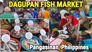 DAGUPAN Philippines  Morning SEAFOOD MARKET SCENE  Magsaysay Fish Port 2023 Prices  PANGASINAN [upl. by Will433]