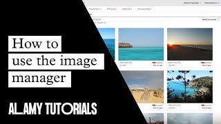 Alamy Image Manager  Tutorial [upl. by Bradman]