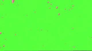 Rose petals falling green screen [upl. by Anelah200]