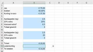 Percentages berekenen in Excel [upl. by Ulland965]