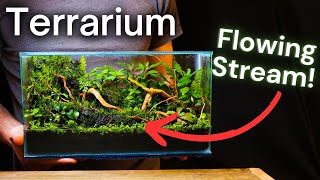 I Made a Terrarium With a FLOWING STREAM Here’s How [upl. by Sutelc432]