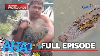 Buwaya nahuli sa baha sa Pampanga Full Episode  AHA [upl. by Dorcas]